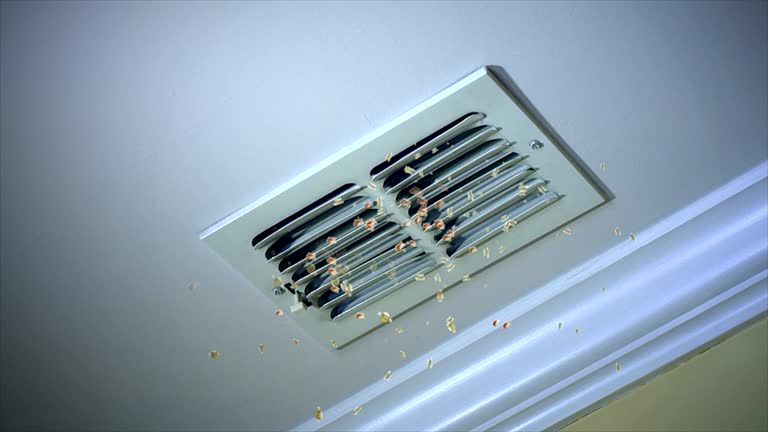 Best Ductwork Cleaning Services  in Aurora, IN