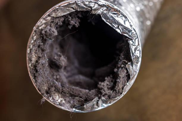 Best Air Duct Cleaning Near Me  in Aurora, IN